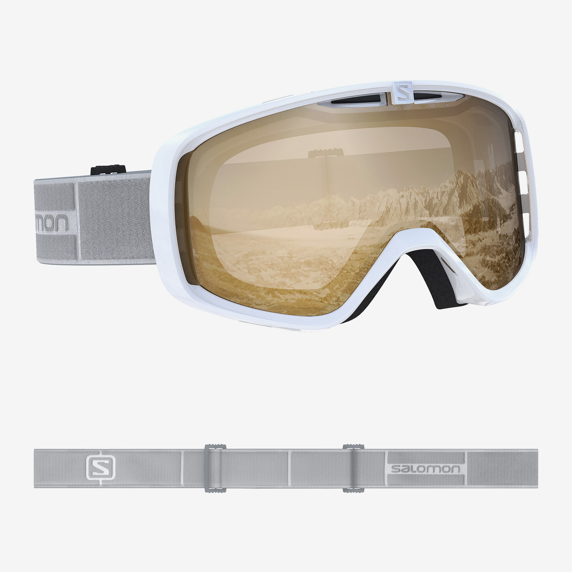  Snowboard Goggles	 -  salomon Aksium Access